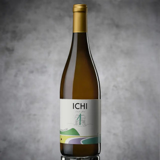 Ichi-g 2022 Pinot šedý 12%