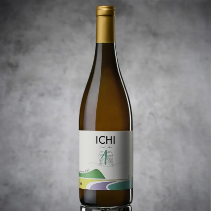 Ichi-G 2022 Pinot Grey 12%