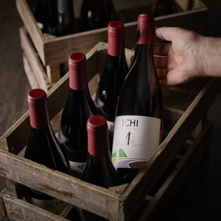 IChi-P Pinot Noir 2021 12,5% * Auf Bestellung *