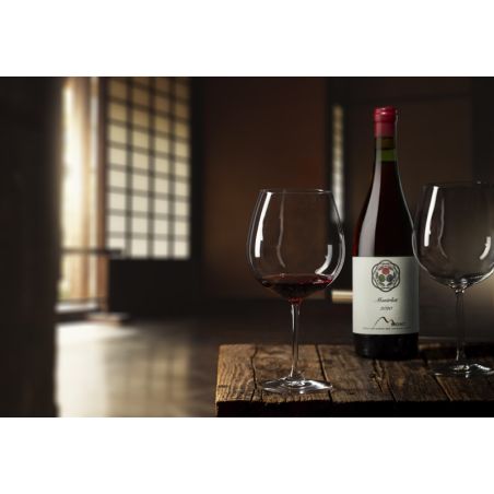 Montrlot, Merlot, 2020 11% *a la orden*