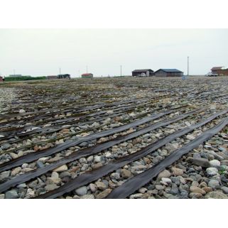 私のコムブデイロクハマ（北海道）22.5 * 10 cm 300g