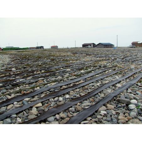 私のコムブデイロクハマ（北海道）22.5 * 10 cm 300g