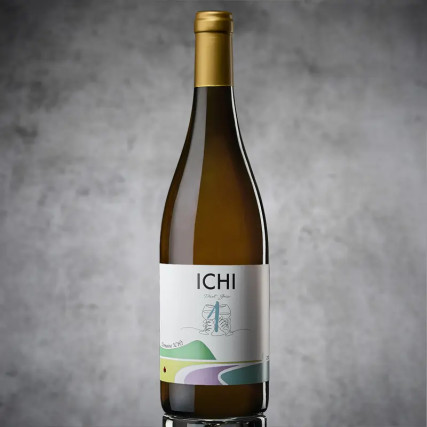Ichi-G Pinot sive 2021 13,0%