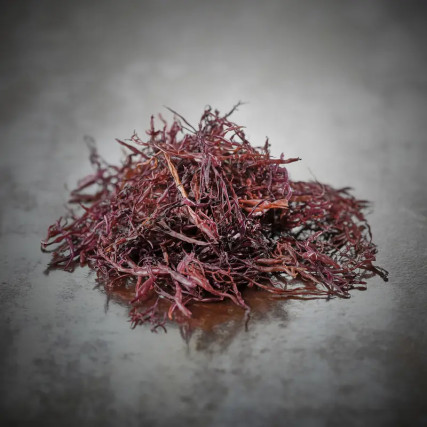 Algue funori sauvage Premium de Iwate 