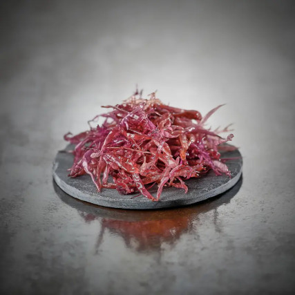 Iwate Premium Wild Funory levät 