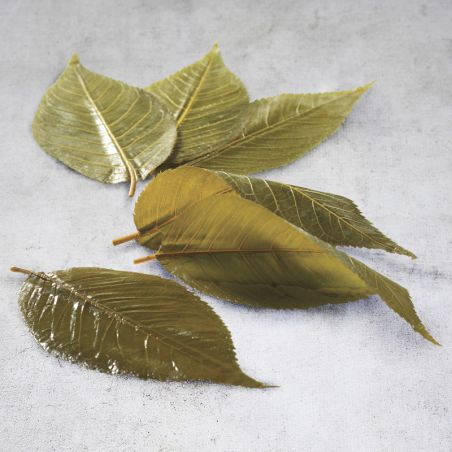 Feuilles de cerisier sakura sucrée 