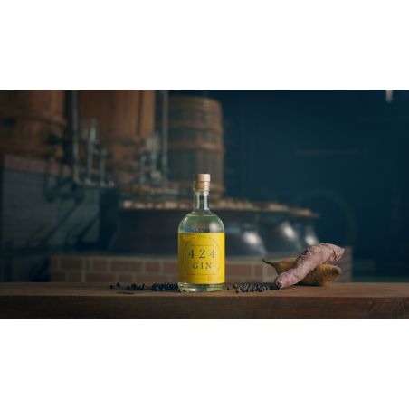 Gin 424 Wacholderbeere