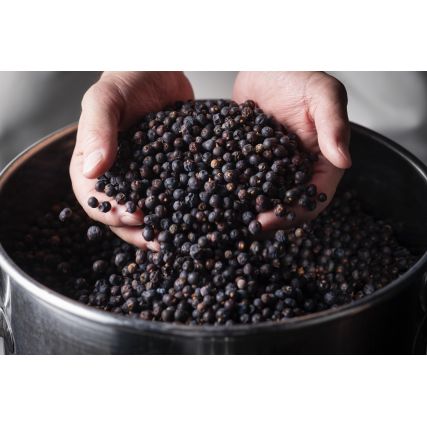 Gin 424 Juniper Berry