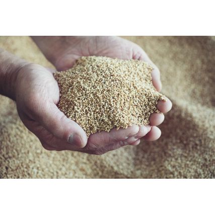 Premium sesame paste 