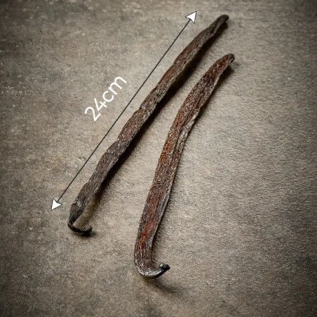 Vainilla negra sin partir, Pompona, origen Madagascar 20-24cm