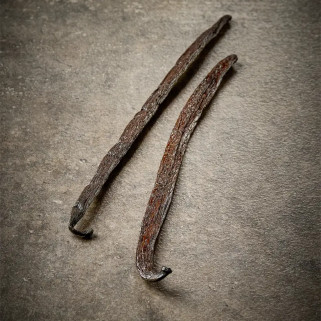 Baunilha Preta não-dividida, Pompota, Origem Madagascar 20-24cm