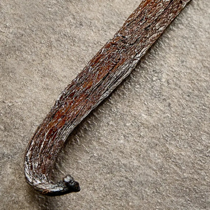 Ei-jaettu musta vanilja, Pompona, alkuperä Madagaskar 20-24cm