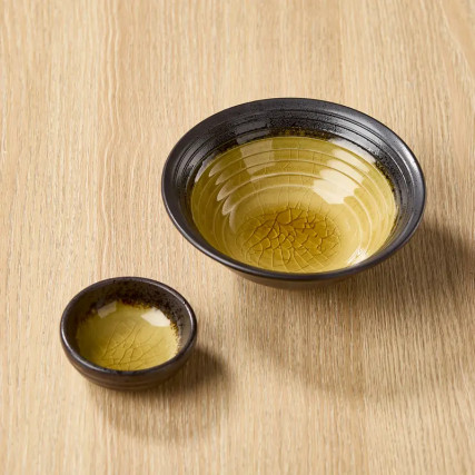 glass enameled ceramic dish