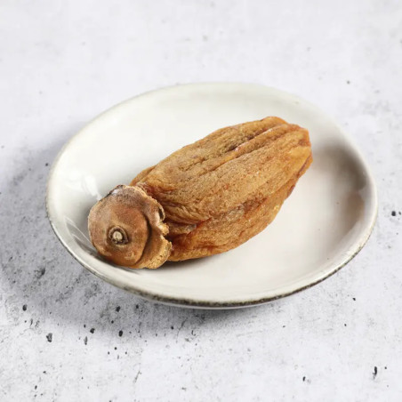 Khaki SAIJOGAKI SUSID SHIMANE