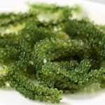 Raisin de mer umibudo