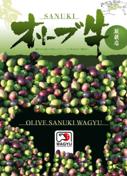 https://nishikidori-pp.6nop6.fr/img/cms/Catalogues/boeuf-olive-fr.pdf